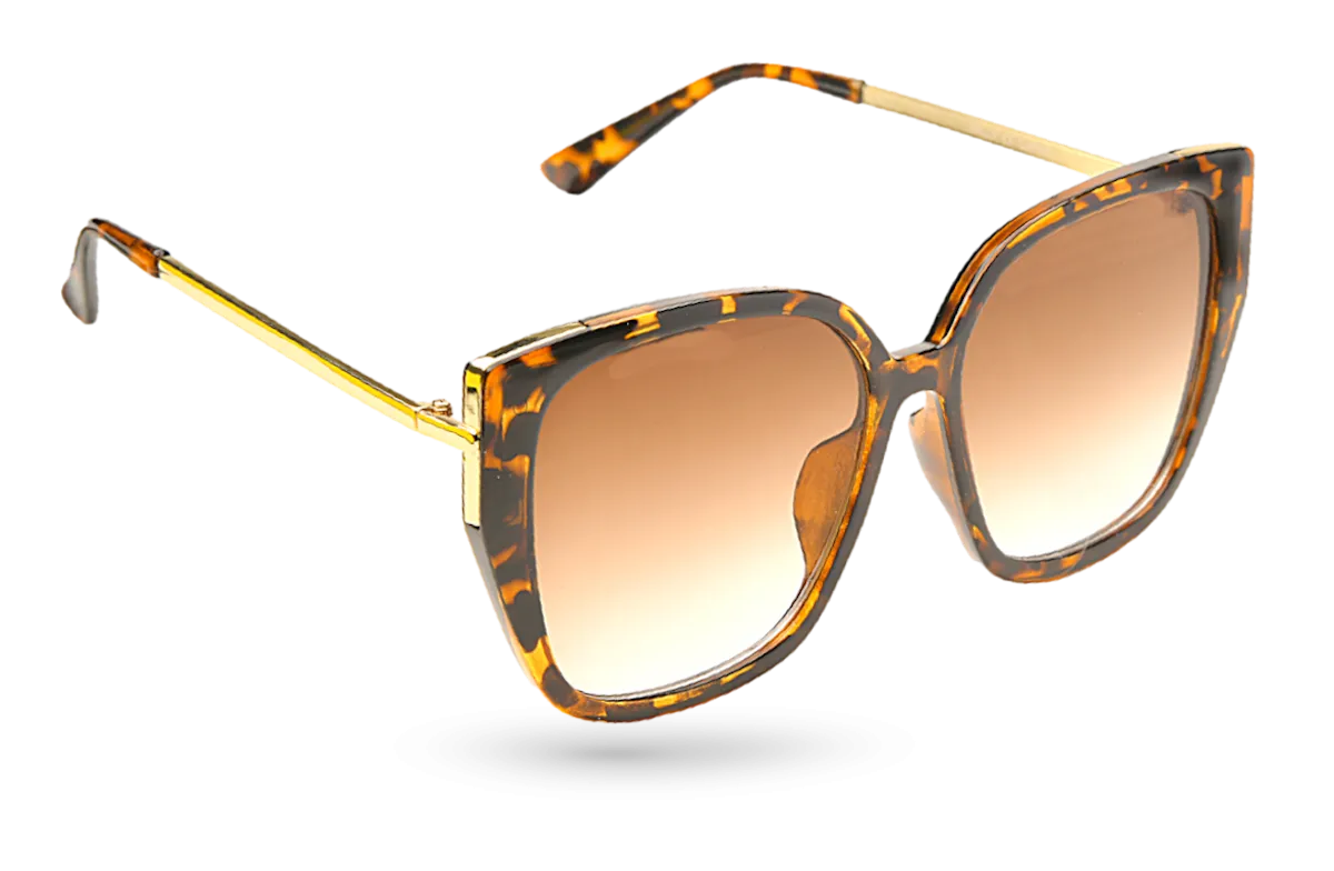 Sally - RRP £12.99